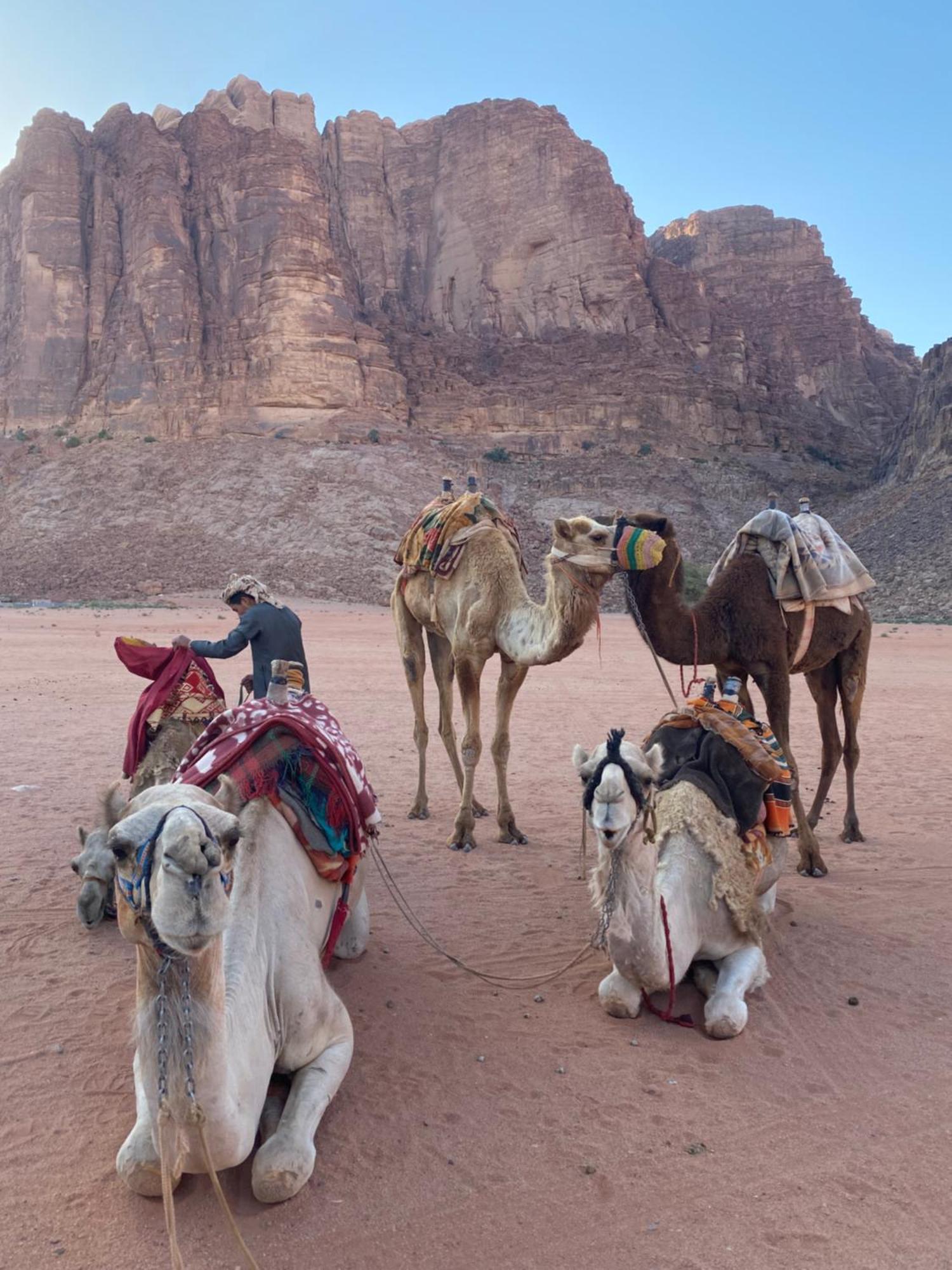 Wadi Rum Crescent Camp & Tours Campsite