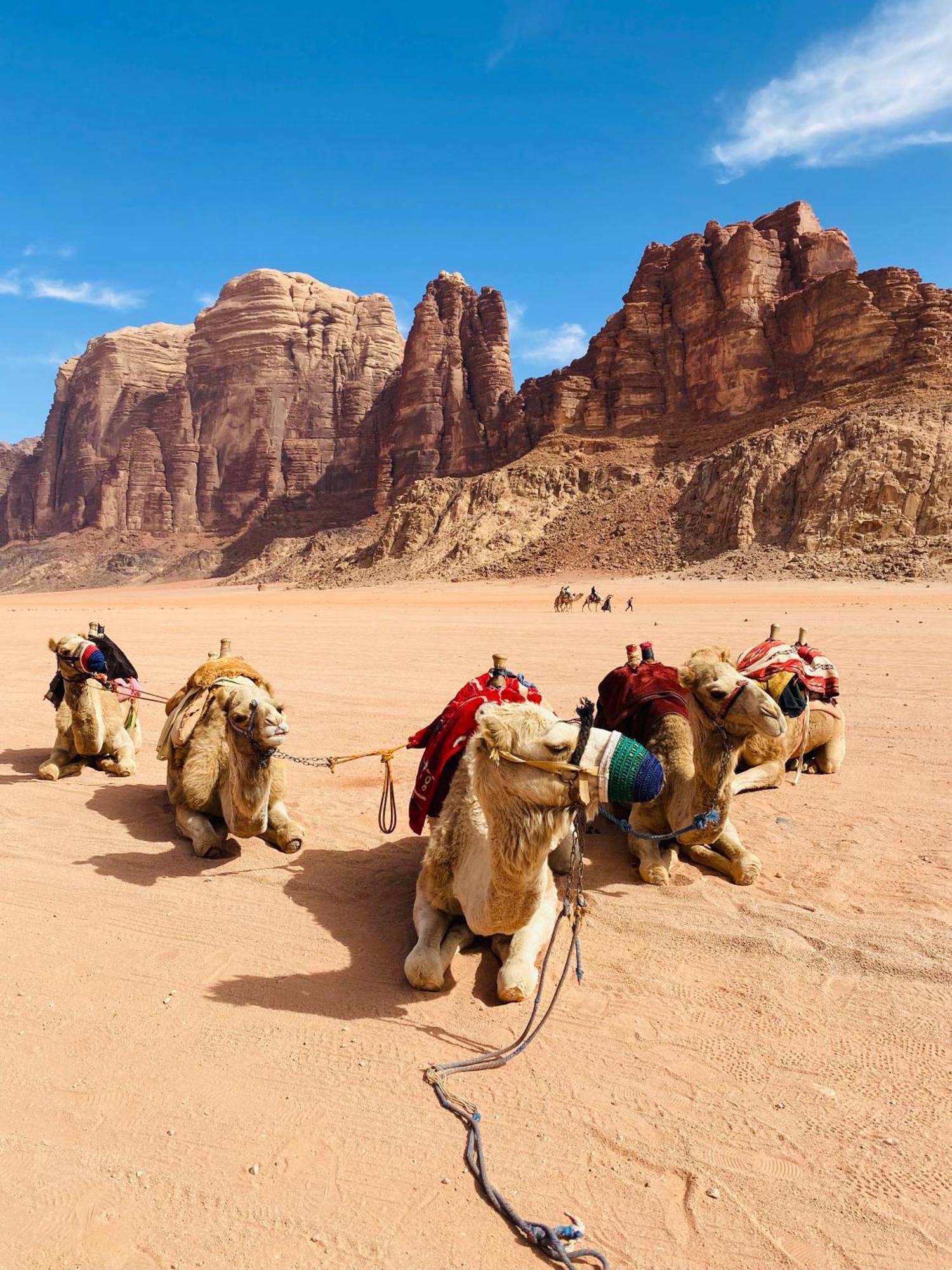 Wadi Rum Crescent Camp & Tours *