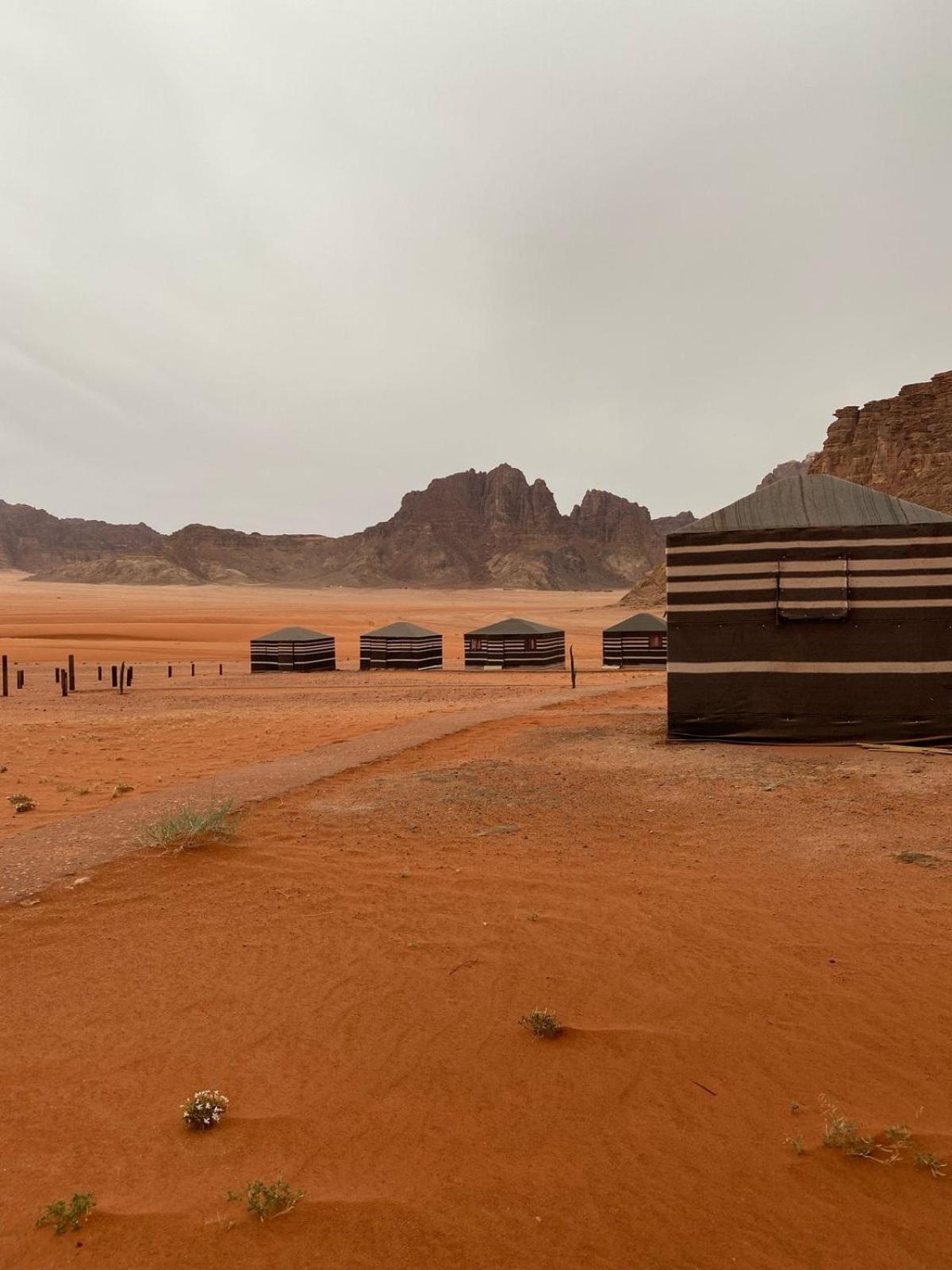 Wadi Rum Crescent Camp & Tours Campsite Wadi Rum
