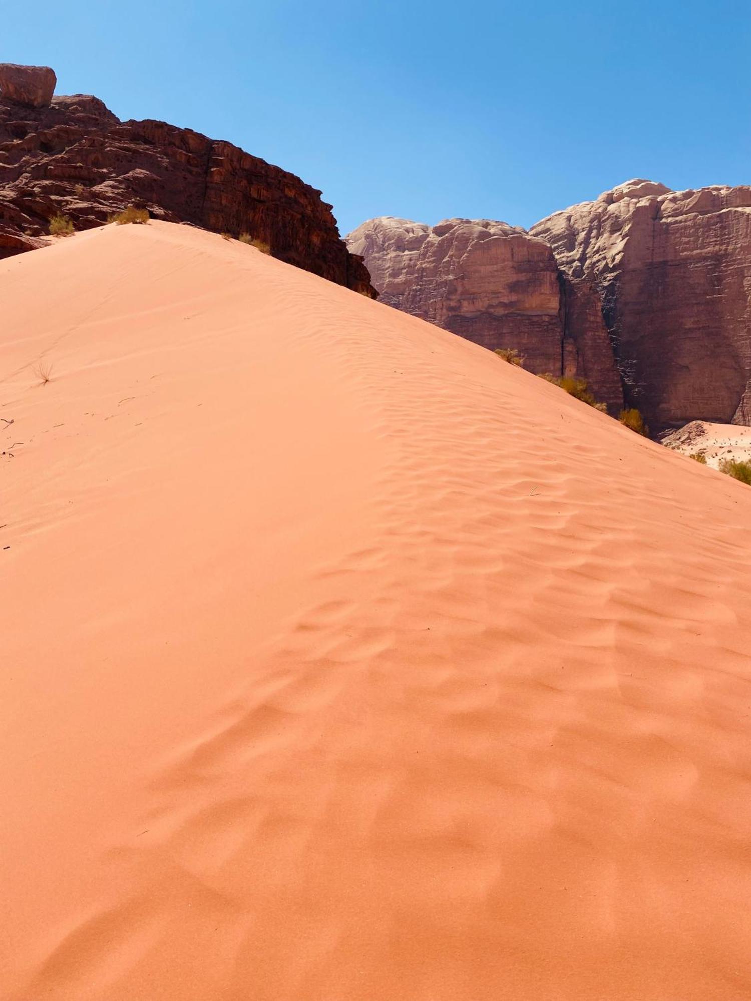 Wadi Rum Crescent Camp & Tours 營地